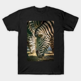 Zebra herd eating T-Shirt